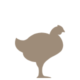 Praxis für Geflügel Vechta betreut Broiler