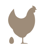 Praxis für Geflügel Vechta betreut Legehennen