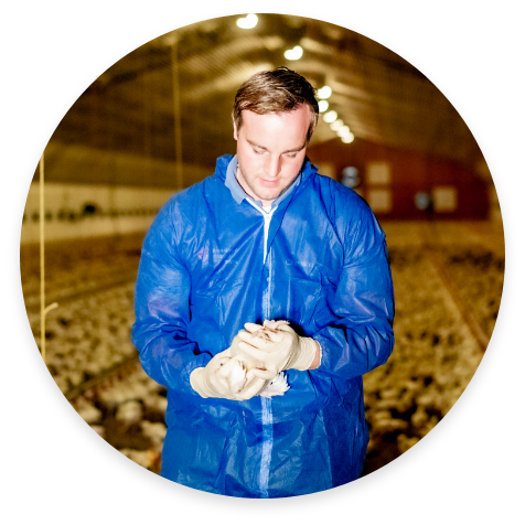 tierärztliche Bestandsbetreuung 