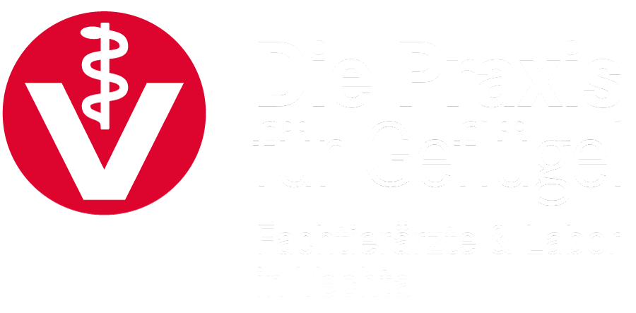 dev.gefluegelpraxis-vechta.de